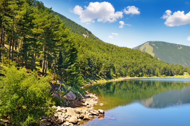 Similar image 11825605