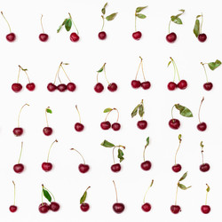 Similar image 11825929