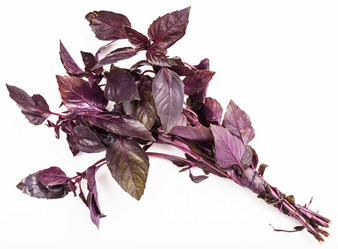 Similar image 11825721