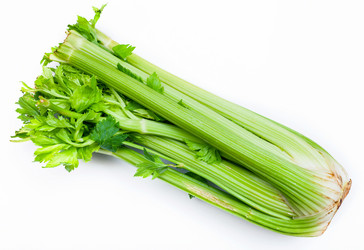 Similar image 11825821