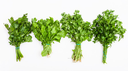 Similar image 11825823