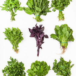 Similar image 11825839