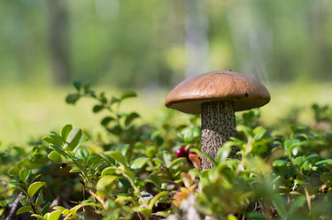 Similar image 11821862