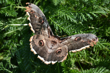 Similar image 11821970