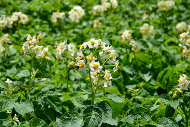 Similar image 11821971