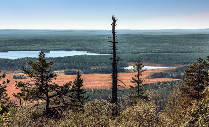 Similar image 11821880