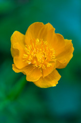 Similar image 11821867