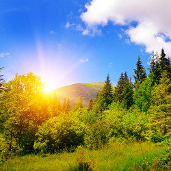 Similar image 11826530