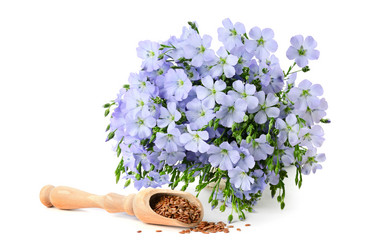 Similar image 11826531