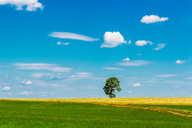 Similar image 11826472