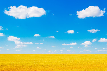 Similar image 11826473