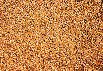 Similar image 11825607