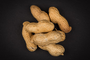 Similar image 11834120