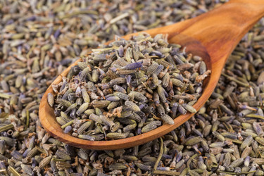 Similar image 11834131