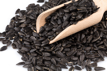 Similar image 11834136