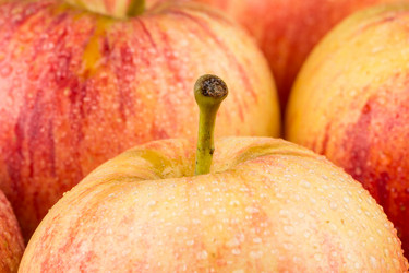 Similar image 11834177