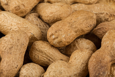 Similar image 11834180