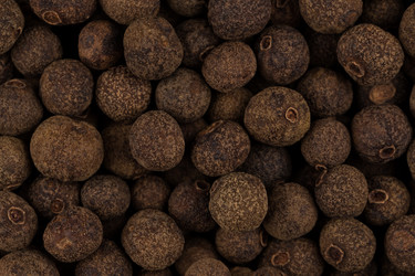 Similar image 11834204