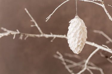 Similar image 11834208