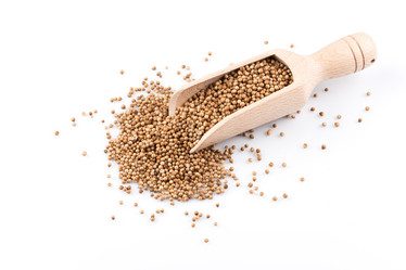 Similar image 11834210