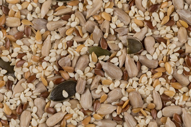 Similar image 11834211