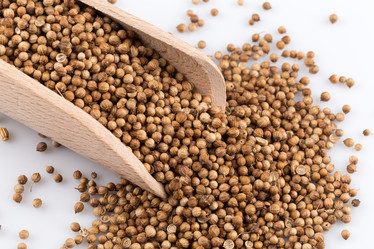 Similar image 11834212