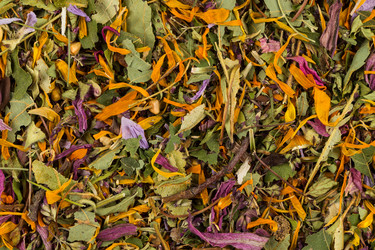 Similar image 11833956