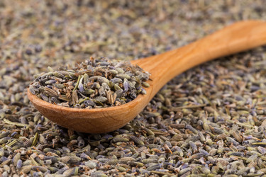 Similar image 11833961