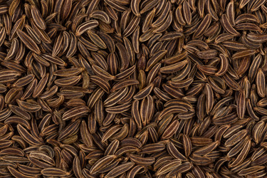 Similar image 11833975