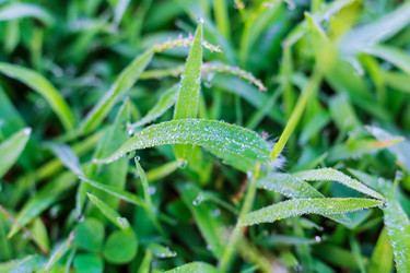 Similar image 11825552