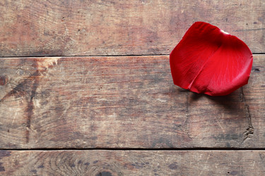 Similar image 11825573