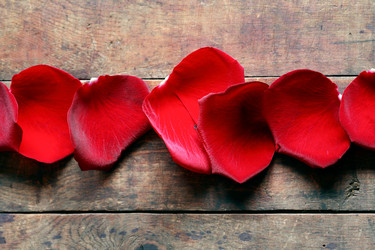 Similar image 11825597