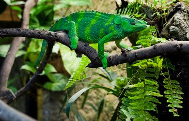 Similar image 11833411