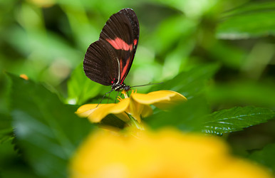 Similar image 11833416