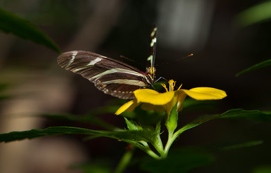 Similar image 11833389