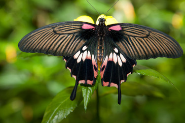 Similar image 11833391