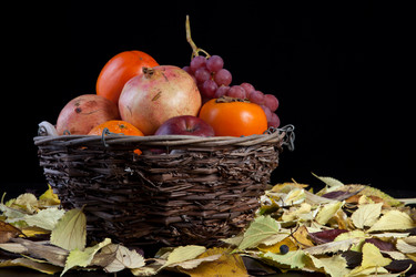 Similar image 11828749