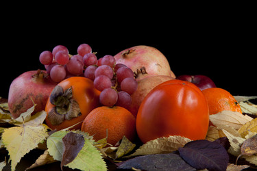 Similar image 11828755