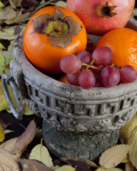 Similar image 11828756