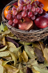 Similar image 11828760