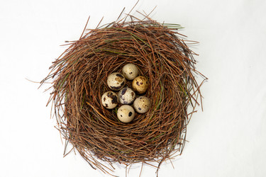 Similar image 11826934