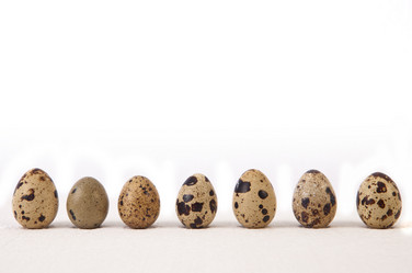 Similar image 11826939