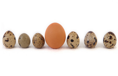 Similar image 11826941