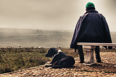 Similar image 11826988