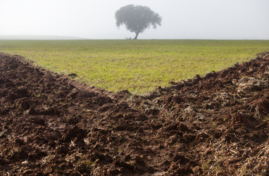 Similar image 11826989