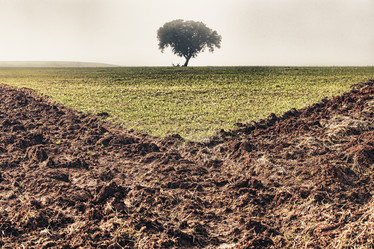 Similar image 11828799