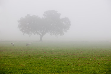 Similar image 11828803