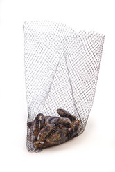 Similar image 11829610