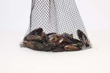 Similar image 11829611