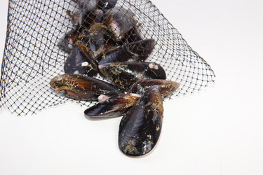 Similar image 11829627